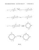 Cyclic Peptidomimetic Compounds as Immunomodulators diagram and image