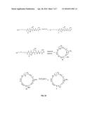 Cyclic Peptidomimetic Compounds as Immunomodulators diagram and image