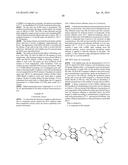 SUBSTITUTED ALIPHANES, CYCLOPHANES, HETERAPHANES, HETEROPHANES,     HETERO-HETERAPHANES AND METALLOCENES USEFUL FOR TREATING HCV INFECTIONS diagram and image