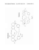 Group of Alkaloids, the Novel Autophagic Enhancers for Treatment of     Cancers and Neurodegenerative Conditions Thereof diagram and image