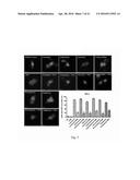 Group of Alkaloids, the Novel Autophagic Enhancers for Treatment of     Cancers and Neurodegenerative Conditions Thereof diagram and image