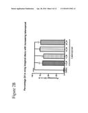 COMPOSITIONS COMPRISING A PROSTAGLANDIN FOR TREATING NEUROPSYCHIATRIC     CONDITIONS diagram and image