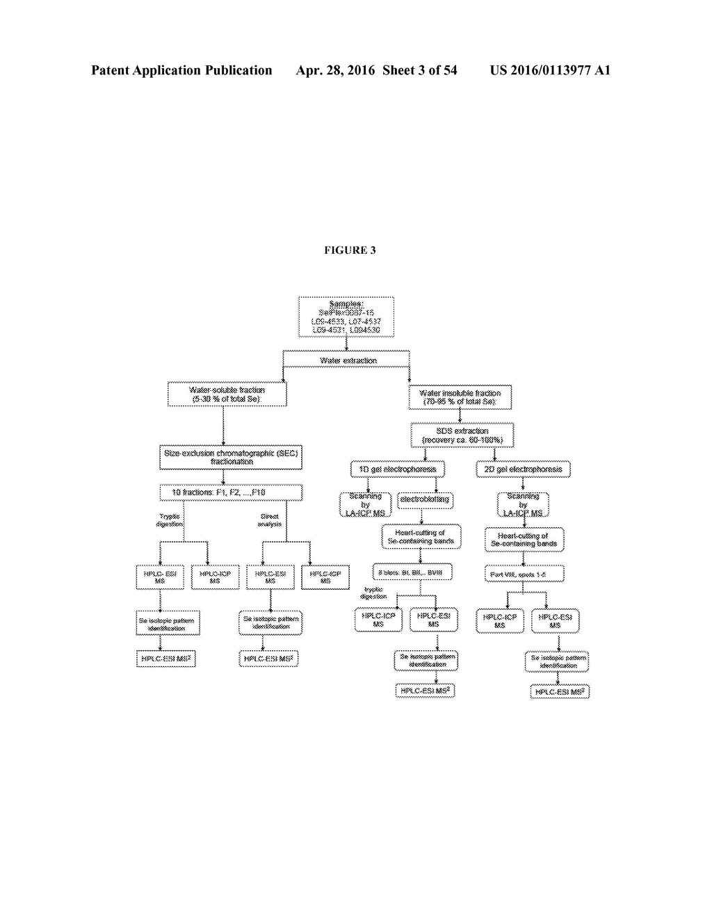 COMPOSITIONS COMPRISING SELENIUM AND USE OF SAME FOR THE TREATMENT AND     PREVENTION OF DISEASE OR CONDITIONS ASSOCIATED WITH MITOCHONDRIAL     DYSFUNCTION - diagram, schematic, and image 04