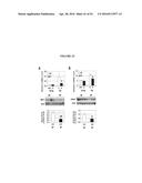 COMPOSITIONS COMPRISING SELENIUM AND USE OF SAME FOR THE TREATMENT AND     PREVENTION OF DISEASE OR CONDITIONS ASSOCIATED WITH MITOCHONDRIAL     DYSFUNCTION diagram and image