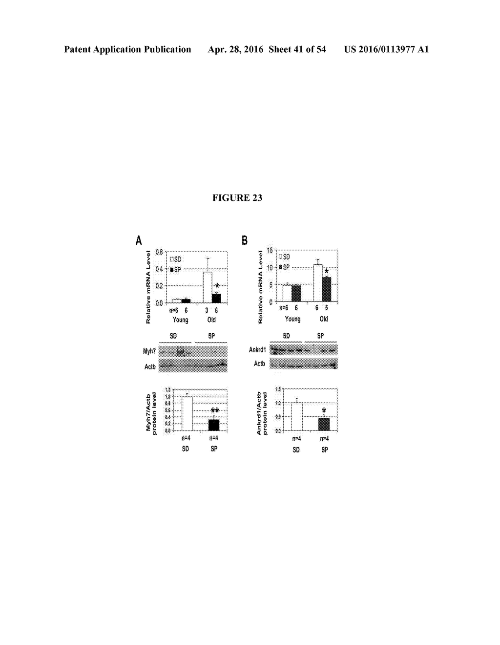 COMPOSITIONS COMPRISING SELENIUM AND USE OF SAME FOR THE TREATMENT AND     PREVENTION OF DISEASE OR CONDITIONS ASSOCIATED WITH MITOCHONDRIAL     DYSFUNCTION - diagram, schematic, and image 42