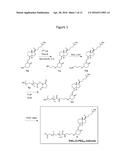 THERAPEUTIC VITAMIN D CONJUGATES diagram and image