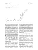 THERAPEUTIC VITAMIN D CONJUGATES diagram and image