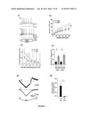 TAFA4 COMPOUNDS AND USES THEREOF FOR TREATING PAIN diagram and image