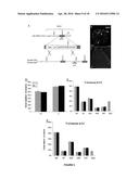 TAFA4 COMPOUNDS AND USES THEREOF FOR TREATING PAIN diagram and image