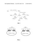 HYBRID PROTEIN THAT CONVERTS ARACHIDONIC ACID INTO PROSTACYCLIN diagram and image