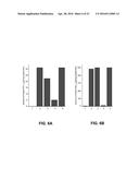 HYBRID PROTEIN THAT CONVERTS ARACHIDONIC ACID INTO PROSTACYCLIN diagram and image