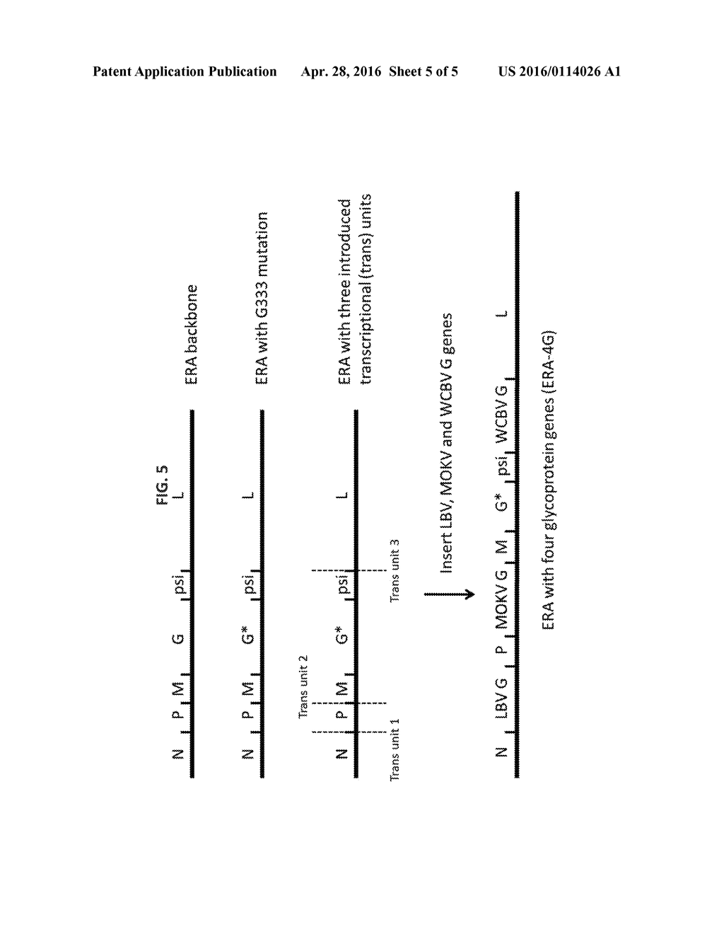 PAN-LYSSAVIRUS VACCINES AGAINST RABIES - diagram, schematic, and image 06