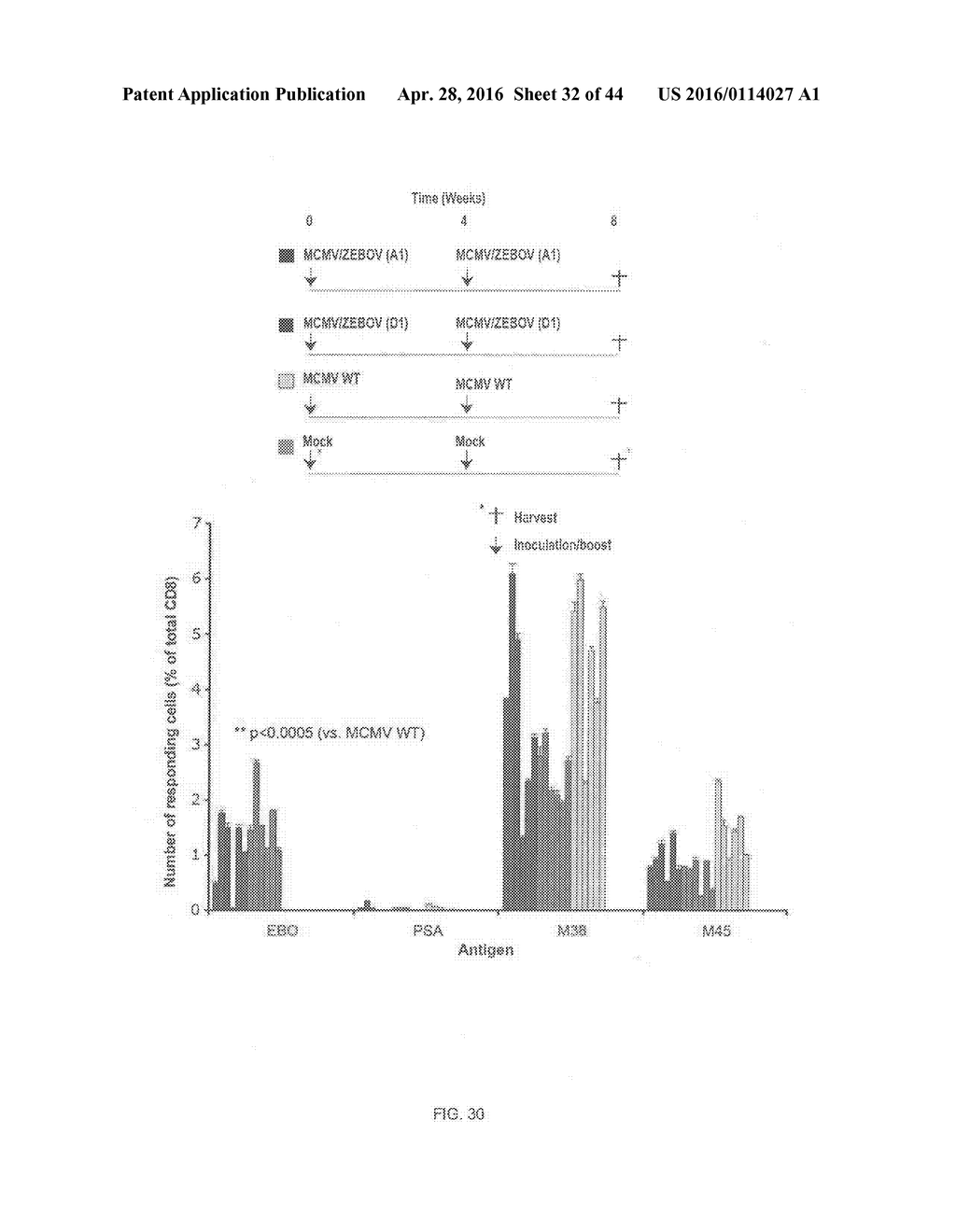 RECOMBINANT HCMV AND RHCMV VECTORS AND USES THEREOF - diagram, schematic, and image 33