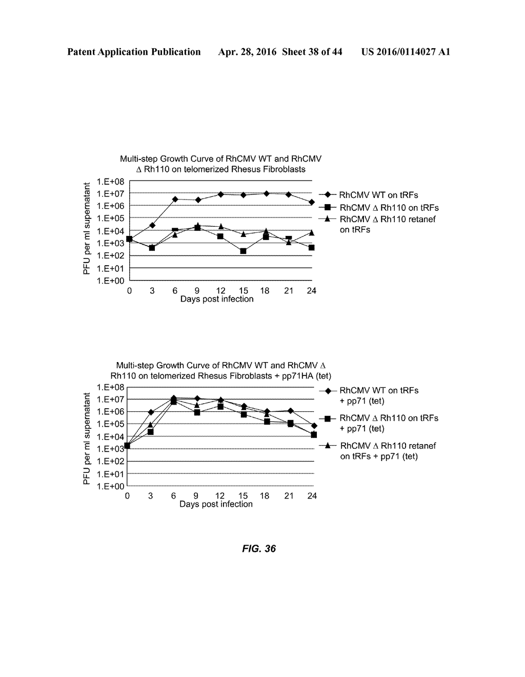 RECOMBINANT HCMV AND RHCMV VECTORS AND USES THEREOF - diagram, schematic, and image 39