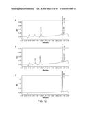 Derivatized Hyperbranched Polyglycerols diagram and image