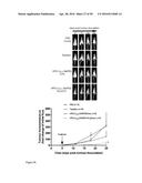 Derivatized Hyperbranched Polyglycerols diagram and image