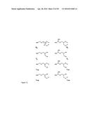 Derivatized Hyperbranched Polyglycerols diagram and image