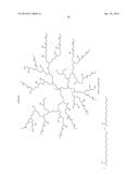 Derivatized Hyperbranched Polyglycerols diagram and image