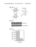 REFILLABLE DRUG DELIVERY DEVICES AND METHODS OF USE THEREOF diagram and image