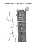 REFILLABLE DRUG DELIVERY DEVICES AND METHODS OF USE THEREOF diagram and image