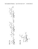 REFILLABLE DRUG DELIVERY DEVICES AND METHODS OF USE THEREOF diagram and image