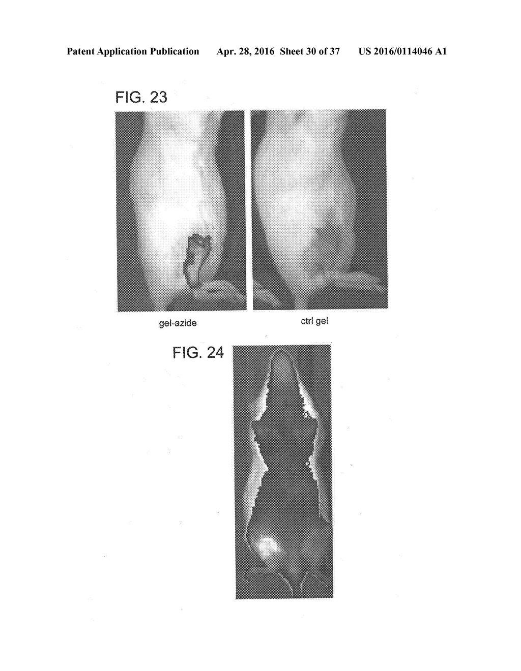 REFILLABLE DRUG DELIVERY DEVICES AND METHODS OF USE THEREOF - diagram, schematic, and image 31