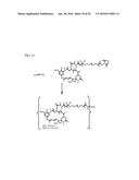 POTENT CONJUGATES AND HYDROPHILIC LINKERS diagram and image