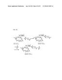 POTENT CONJUGATES AND HYDROPHILIC LINKERS diagram and image