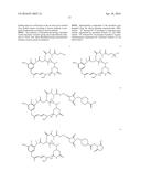 POTENT CONJUGATES AND HYDROPHILIC LINKERS diagram and image