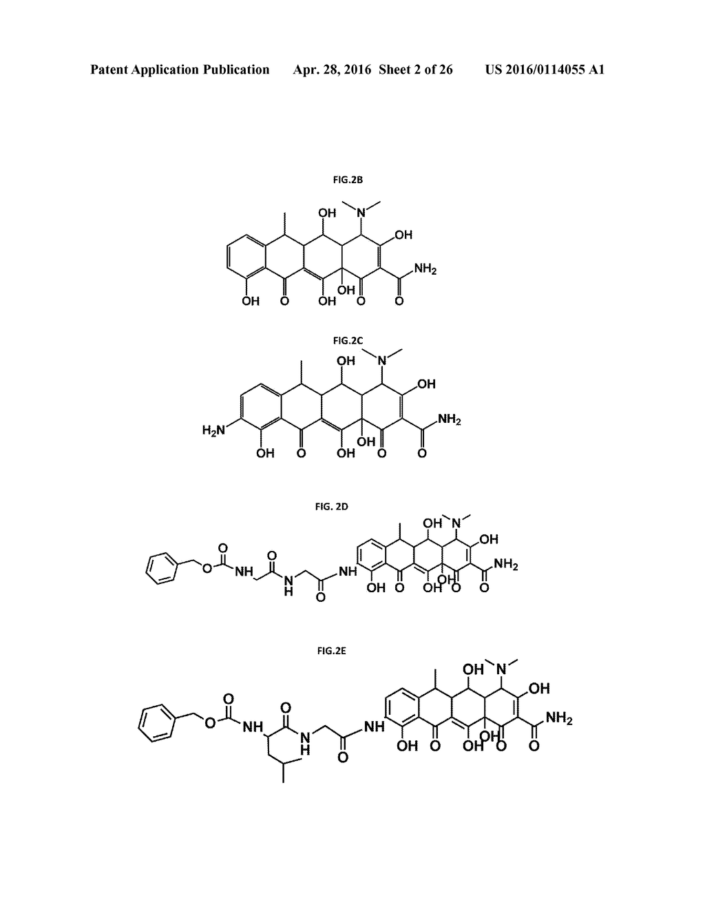 POLYMER DRUG CONJUGATES FOR THE TREATMENT OF AMYLOIDOSIS - diagram, schematic, and image 03