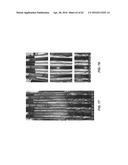 MEMBRANE MODULE SYSTEM WITH BUNDLE ENCLOSURES AND PULSED AERATION AND     METHOD OF OPERATION diagram and image