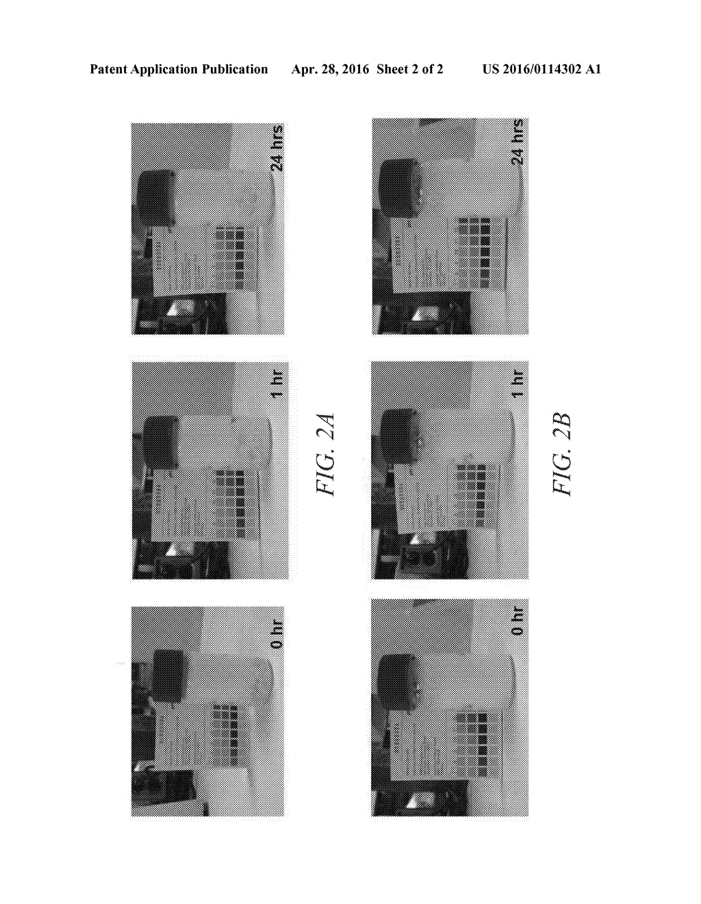 DISPERSION OF SULFUR BY AMPHIPHILIC PROTEINS - diagram, schematic, and image 03