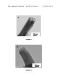 Halloysite Nanotubes and Uses Thereof for Novel Remediation Techniques diagram and image