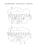 FLUID DISPENSING APPARATUS AND METHOD diagram and image