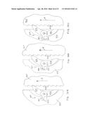 FLUID DISPENSING APPARATUS AND METHOD diagram and image