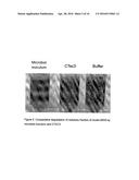 METHODS OF PROCESSING MUNICIPAL SOLID WASTE (MSW) USING MICROBIAL     HYDROLYSIS AND FERMENTATION diagram and image