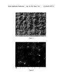 SELF STANDING NANOPARTICLE NETWORKS/SCAFFOLDS WITH CONTROLLABLE VOID     DIMENSIONS diagram and image