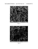 SELF STANDING NANOPARTICLE NETWORKS/SCAFFOLDS WITH CONTROLLABLE VOID     DIMENSIONS diagram and image