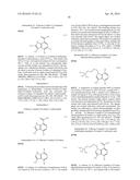 INDOLE CARBOXAMIDE COMPOUNDS diagram and image