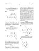 MACROCYCLIC FACTOR VIIA INHIBITORS diagram and image