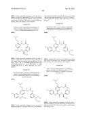 MACROCYCLIC FACTOR VIIA INHIBITORS diagram and image