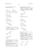 MACROCYCLIC FACTOR VIIA INHIBITORS diagram and image