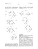 MACROCYCLIC FACTOR VIIA INHIBITORS diagram and image