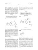 MACROCYCLIC FACTOR VIIA INHIBITORS diagram and image