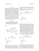 MACROCYCLIC FACTOR VIIA INHIBITORS diagram and image