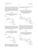 MACROCYCLIC FACTOR VIIA INHIBITORS diagram and image