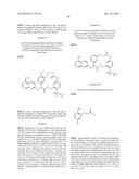 MACROCYCLIC FACTOR VIIA INHIBITORS diagram and image