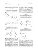 MACROCYCLIC FACTOR VIIA INHIBITORS diagram and image