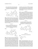 MACROCYCLIC FACTOR VIIA INHIBITORS diagram and image