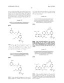 MACROCYCLIC FACTOR VIIA INHIBITORS diagram and image